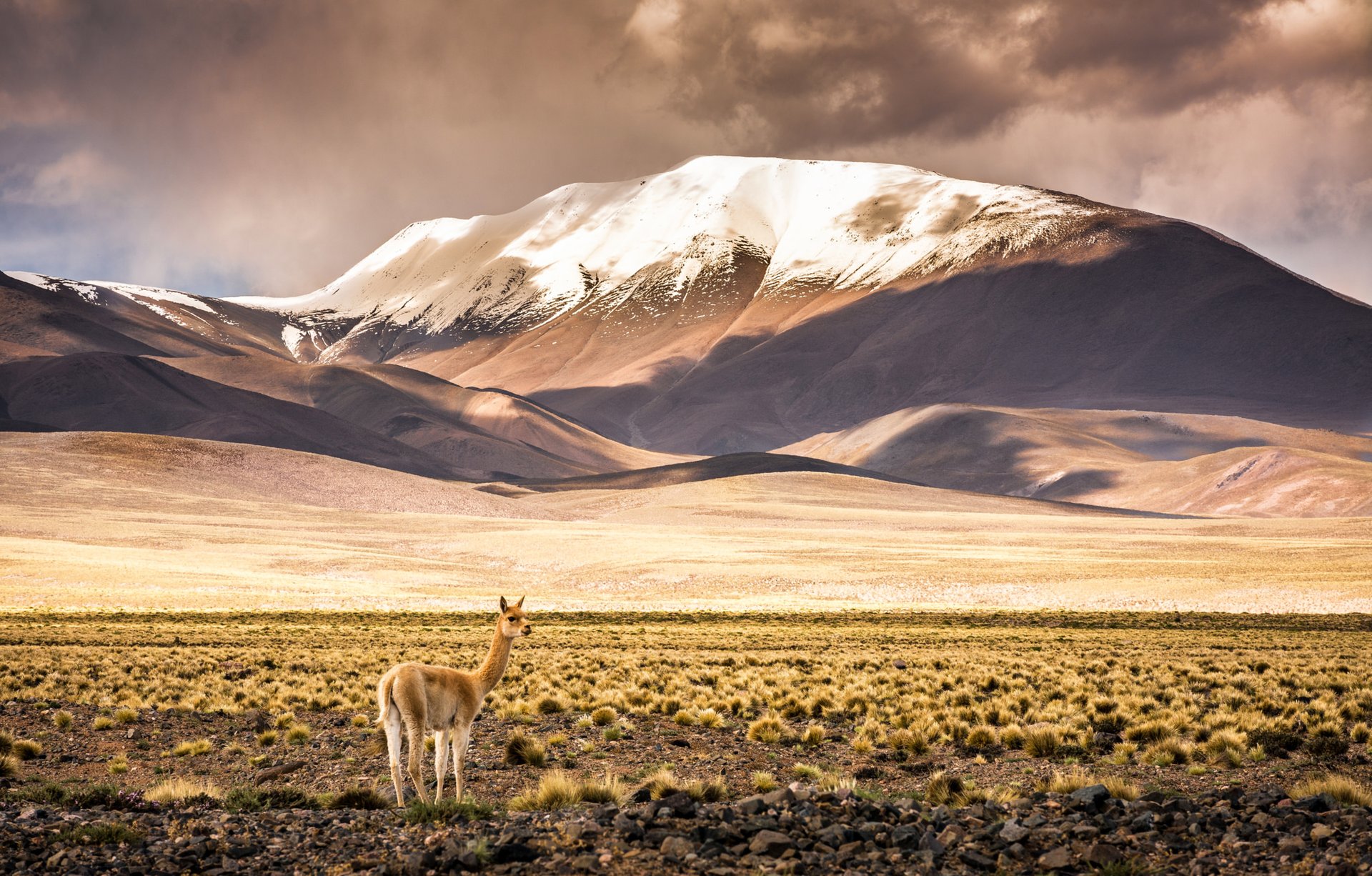 viaggio-in-argentina-del-nord
