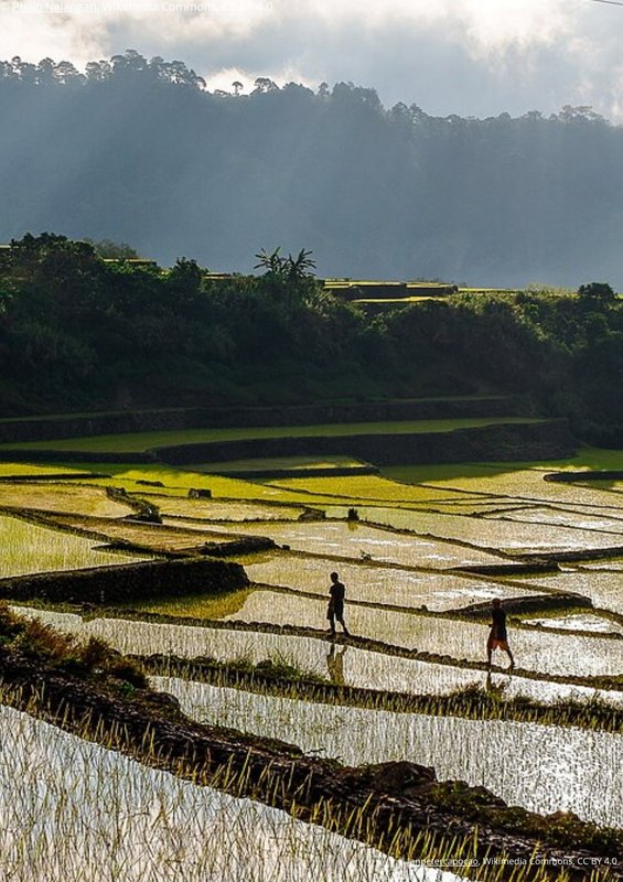 Viaggio nelle Filippine