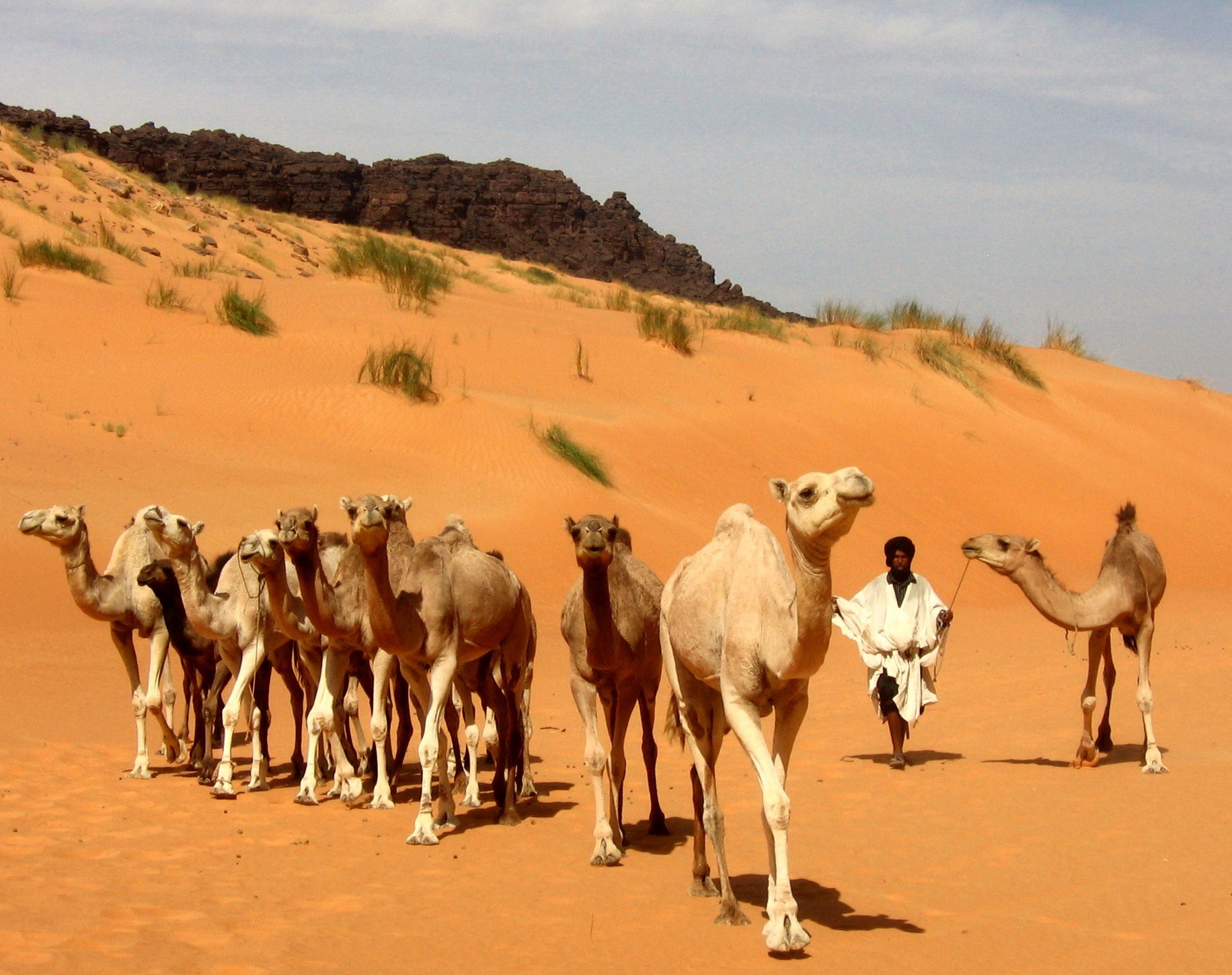 viaggi_Mauritania_tour