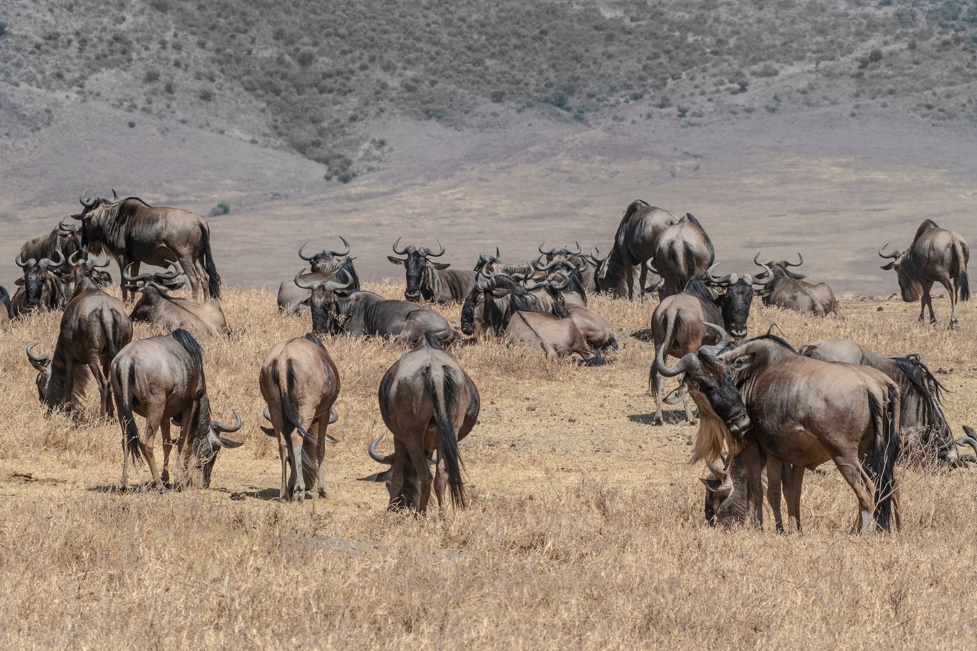 viaggi_tanzania_migrazione