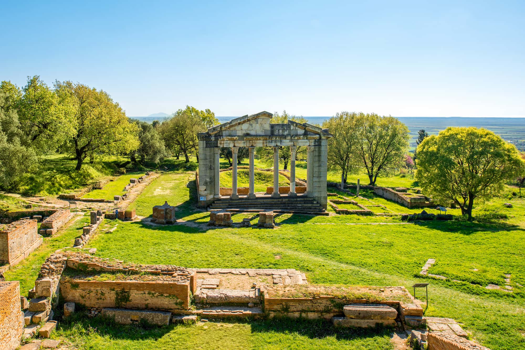 original_images/apollonia_1.jpg